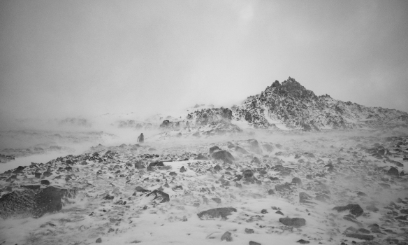 Það var ekki einu sinni snjór í brekkunni að hryggnum