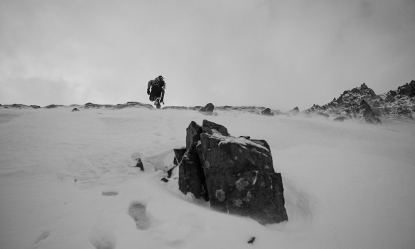 Fórum þetta broddalausir