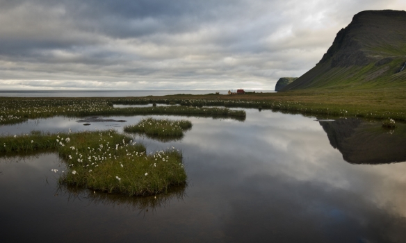 Búðabær og Búðasel í Hlöðuvík. Falleg mýri er þarna fyrir ofan húsin.